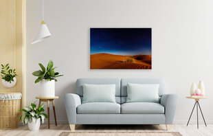 Картина Красная пустыня, 100x70 см цена и информация | Картины, живопись | kaup24.ee