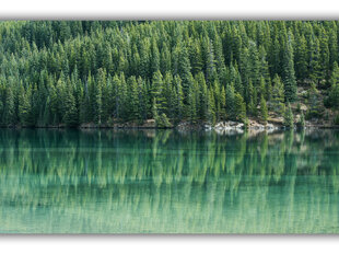 Reproduktsioon Kanada metsad, 100x70 cm hind ja info | Seinapildid | kaup24.ee