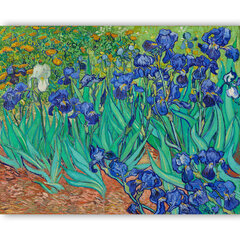 Reproduktsioon "Iirised" (1889) (Vincent van Gogh), 100x70 cm. цена и информация | Картины, живопись | kaup24.ee