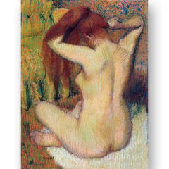 Reproduktsioon „Alasti daam“ (Edgar Degas), 100x70 cm. hind ja info | Seinapildid | kaup24.ee
