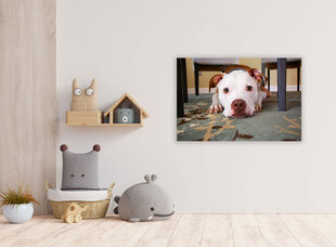 Картина Дружелюбная собака, 100x70 см цена и информация | Картины, живопись | kaup24.ee