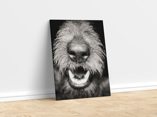Картина Собачий нос, 100x70 см цена и информация | Картины, живопись | kaup24.ee