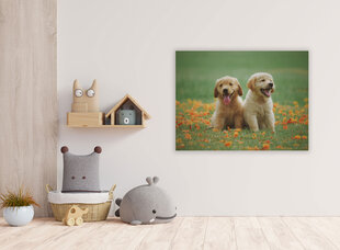 Картина Два щенка, 100x70 см цена и информация | Картины, живопись | kaup24.ee
