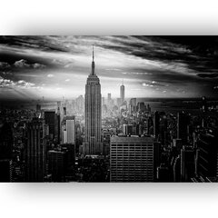 Reproduktsioon Must-valge Manhattan, 60x80 cm hind ja info | Seinapildid | kaup24.ee