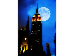 Reproduktsioon Kuuvalgus New Yorgis, 60x80 cm hind ja info | Seinapildid | kaup24.ee