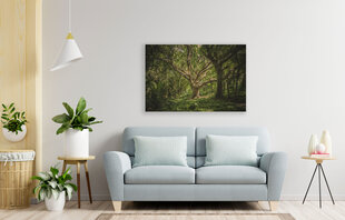Картина Античное дерево, 60x80 см цена и информация | Картины, живопись | kaup24.ee