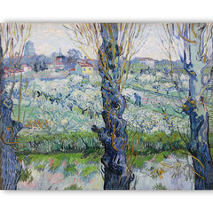 Reproduktsioon „Vaade Arles'ile, lilleaiad“ (Vincent van Gogh), 100x70 cm цена и информация | Картины, живопись | kaup24.ee