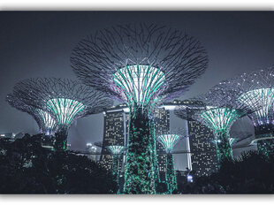 Картина Сингапур, 60x80 см цена и информация | Репродукции, картины | kaup24.ee