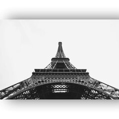 Reproduktsioon Must-valge Eiffeli torn, 60х80 cm hind ja info | Seinapildid | kaup24.ee