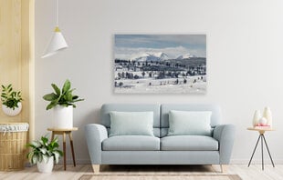 Картина Заснеженные горы, 60x80 см цена и информация | Картины, живопись | kaup24.ee