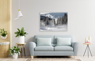 Картина Зимний туман, 60x80 см цена и информация | Картины, живопись | kaup24.ee