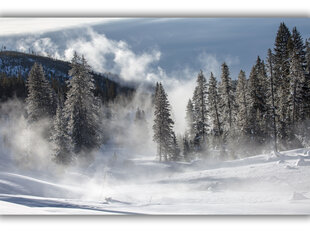 Картина Зимний туман, 60x80 см цена и информация | Картины, живопись | kaup24.ee