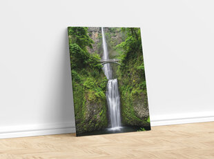 Картина Мост в джунглях, 60x80 см цена и информация | Репродукции, картины | kaup24.ee