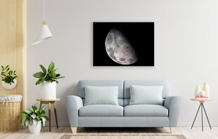 Reproduktsioon Kuu, 60x80 cm hind ja info | Seinapildid | kaup24.ee