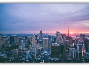 Reproduktsioon Roosa New York, 60x80 cm hind ja info | Seinapildid | kaup24.ee