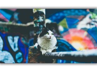 Картина Городская кошка, 60x80 см цена и информация | Картины, живопись | kaup24.ee