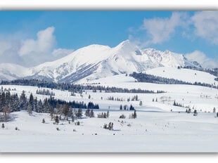 Картина Зимний пейзаж, 60x80 см цена и информация | Картины, живопись | kaup24.ee