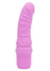 Вибратор Toy Joy Mini Classic G-Spot цена и информация | Вибраторы | kaup24.ee