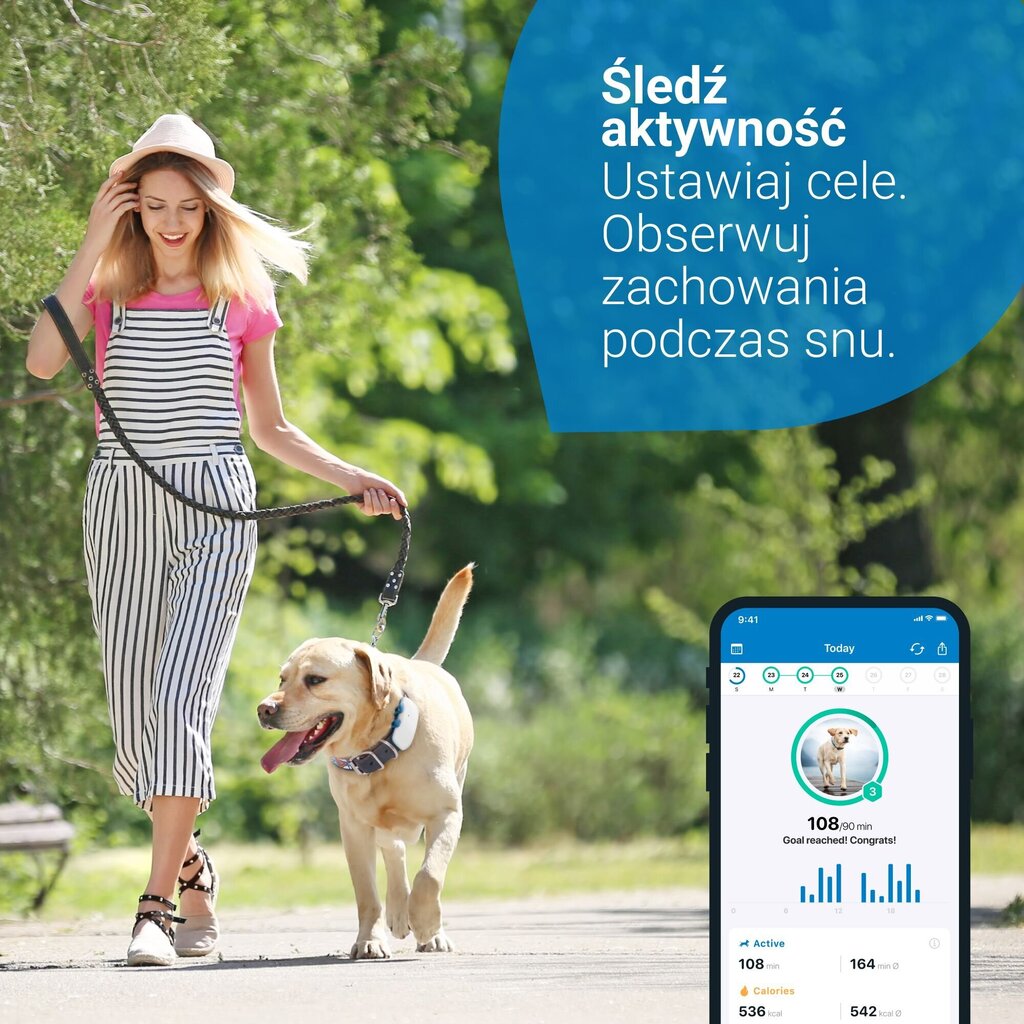 Tractive Tractive GPS DOG 4 koerajälgija koos aktiivsuse jälgimisega – valge цена и информация | Riided koertele | kaup24.ee