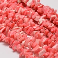 Helmed (chips), roosa korall (akrüül), 1 rida, 42 cm hind ja info | Ehete valmistamine, helmestamine | kaup24.ee