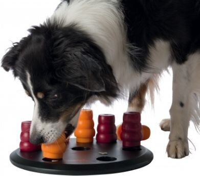 Mänguasi koertele Dog Activity Solitaire Level-1, 29 cm цена и информация | Mänguasjad koertele | kaup24.ee