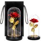 Roos LED-tuledega HA5160 hind ja info | Uinuvad roosid, taimed | kaup24.ee
