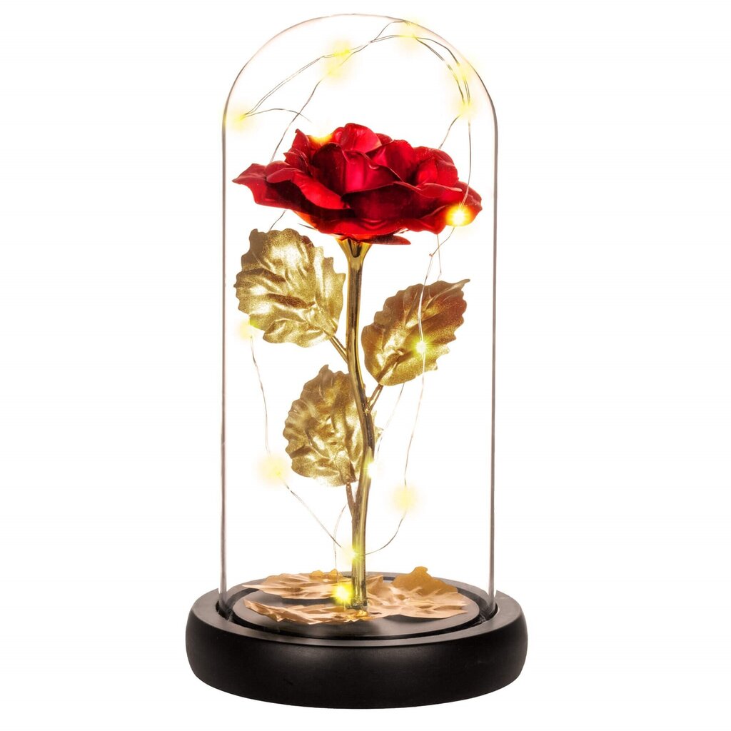 Roos LED-tuledega HA5160 hind ja info | Uinuvad roosid, taimed | kaup24.ee