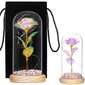 Roos LED-tuledega HA5159 цена и информация | Uinuvad roosid, taimed | kaup24.ee