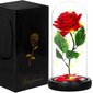 Roos LED-tuledega HA5156 hind ja info | Uinuvad roosid, taimed | kaup24.ee