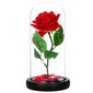 Roos LED-tuledega HA5156 hind ja info | Uinuvad roosid, taimed | kaup24.ee