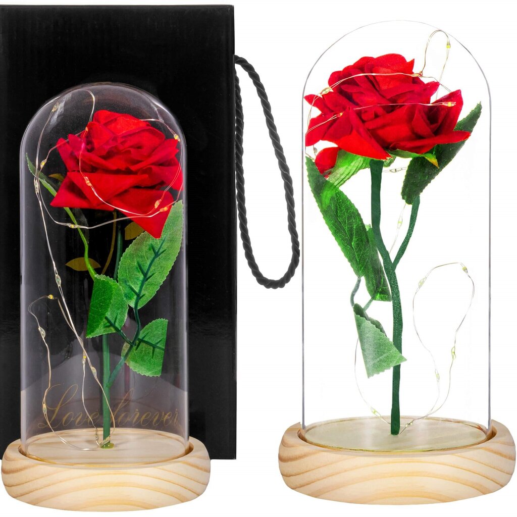 Roos LED-tuledega HA5155 hind ja info | Uinuvad roosid, taimed | kaup24.ee