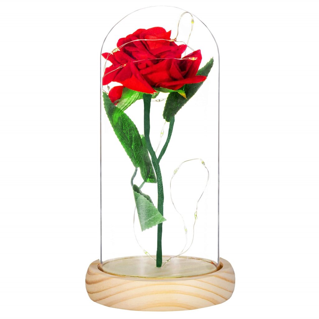 Roos LED-tuledega HA5155 hind ja info | Uinuvad roosid, taimed | kaup24.ee