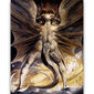 Reproduktsioon "Suur punane draakon ja päikesega riietatud naine" (William Blake), 60 x 80 cm. hind ja info | Seinapildid | kaup24.ee