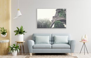Reproduktsioon Eiffeli torn udus, 40x60 cm hind ja info | Seinapildid | kaup24.ee