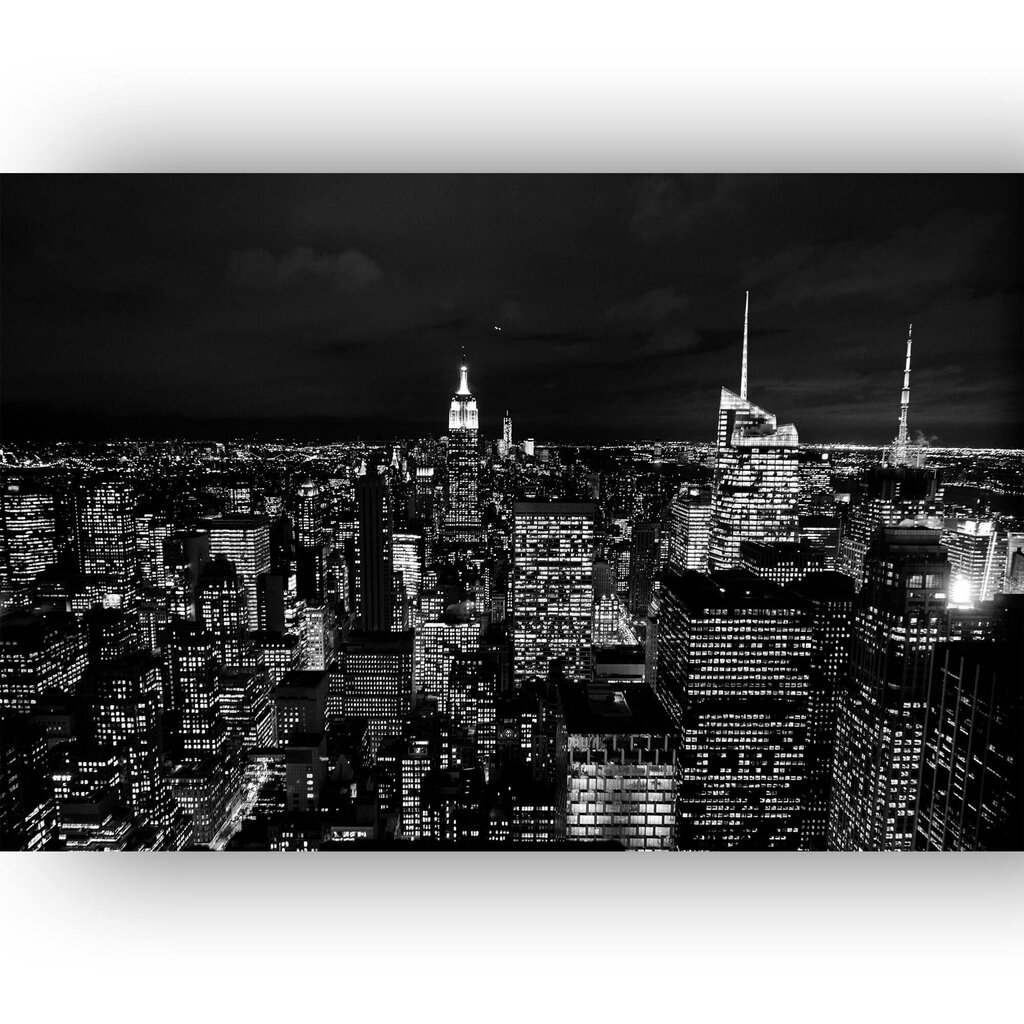 Reproduktsioon Manhattani panoraam, 40x60 cm hind ja info | Seinapildid | kaup24.ee