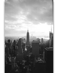 Картина Черно-белый Нью-Йорк, 40x60 см цена и информация | Картины, живопись | kaup24.ee