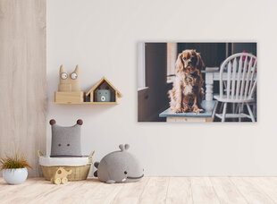 Картина Щенок на стуле, 40x60 см цена и информация | Картины, живопись | kaup24.ee