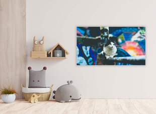 Картина Городская кошка, 40x60 см цена и информация | Картины, живопись | kaup24.ee