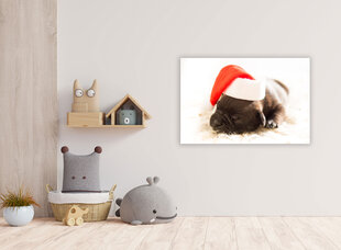 Картина Спящий щенок, 40x60 см цена и информация | Картины, живопись | kaup24.ee