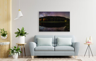 Reproduktsioon Öine mets, 40x60 cm hind ja info | Seinapildid | kaup24.ee