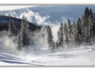Картина Зимний туман, 40x60 см цена и информация | Картины, живопись | kaup24.ee