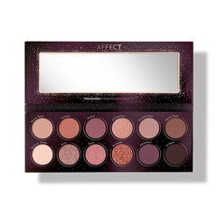 Lauvärvipalett Affect Treasures Eyeshadows Palette, 12x24g цена и информация | Тушь, средства для роста ресниц, тени для век, карандаши для глаз | kaup24.ee