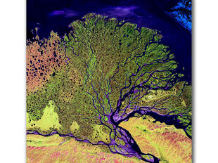 Reproduktsioon Jõgi kosmosest, 40x60 cm hind ja info | Seinapildid | kaup24.ee