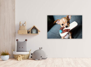 Картина Собака с тапочкой, 40x60 см цена и информация | Картины, живопись | kaup24.ee