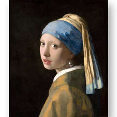 Reproduktsioon "Tüdruk pärlikõrvarõngaga" (Johannes Vermeer), 40x60 cm. hind ja info | Seinapildid | kaup24.ee