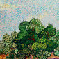 Reproduktsioon „Oliivipuud“ (Vincent Van Gogh), 40 x 60 cm цена и информация | Seinapildid | kaup24.ee