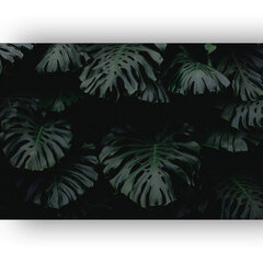 Reproduktsioon Monstera lehed, 30x40 cm hind ja info | Seinapildid | kaup24.ee