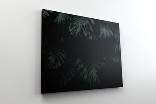 Reproduktsioon Monstera lehed, 30x40 cm hind ja info | Seinapildid | kaup24.ee