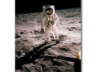 Reproduktsioon Edwin Aldrini Kuu peal, 30x40 cm hind ja info | Seinapildid | kaup24.ee