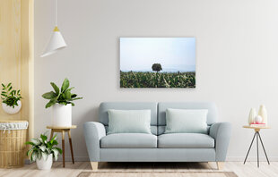 Картина Одинокое дерево, 30x40 см цена и информация | Картины, живопись | kaup24.ee